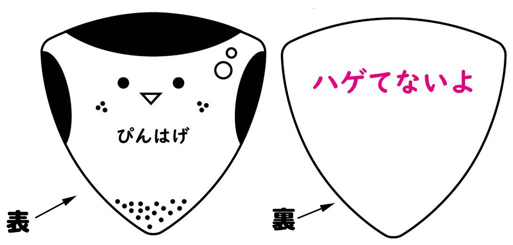 pinkhage2's tweet photo. 【第2回プレゼント企画！40名に！】

なんと僕ぴんはげ自身がピックになってしまいました！
第2回は「ぴんはげピック」ですｗ

またまたピック＆メッセージカード付きになります！

【参加方法】
・このアカウントをフォロー＆リツイート

締切は2月19日まで！
#ぴんはげ第2回プレゼント企画 https://t.co/T8Z2KM9z3M
