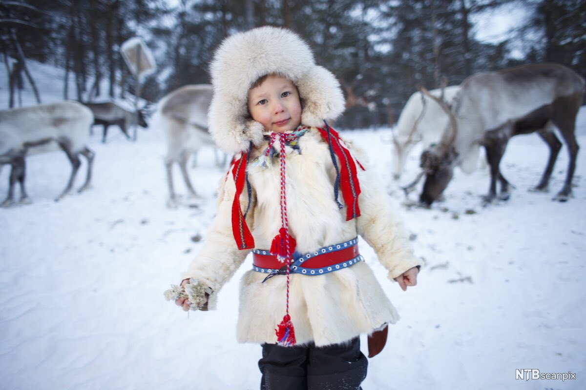 Gratulere med dagen på samisk