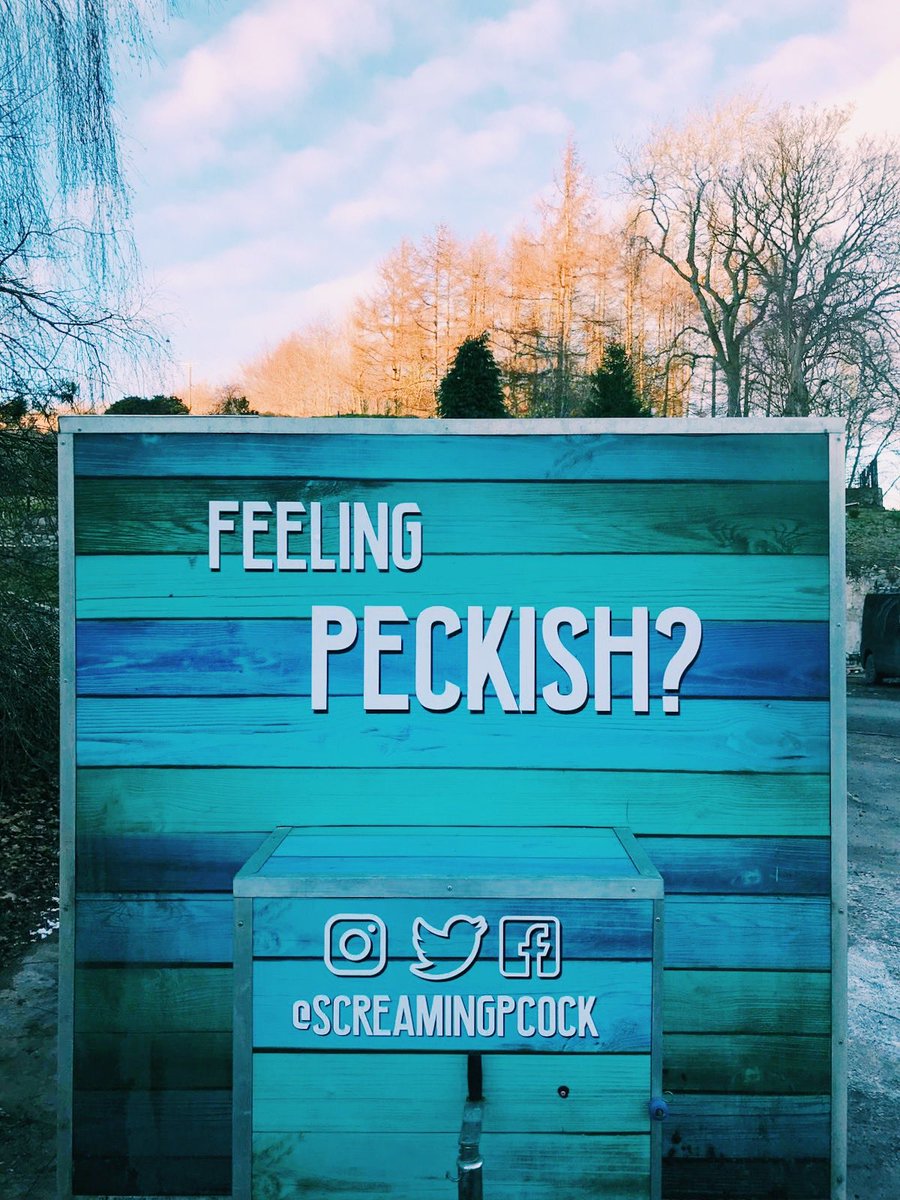 Well... are you? 😏

New artwork getting straight to the point 🙌🏻 🦚💥
______________
#screamingpeacock #eventscatering #streetfood #scotland