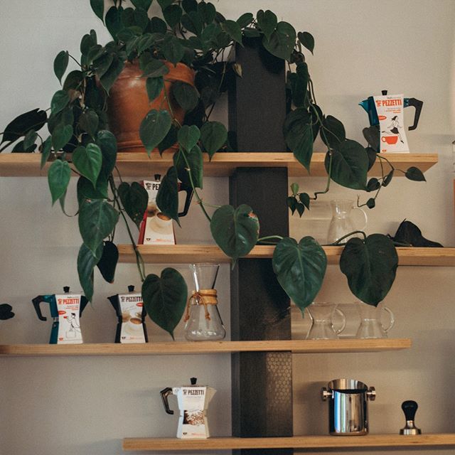 MachinaCoffee's tweet photo. #shelfie (that's what the kids do these days, yeah?)
Image: @sarahdeemarco #machinacoffee
.
.
.
#thirdwavecoffee #specialtycoffee #coffee #edinburgh #local #edinburghcoffee #edinburgh #artisan #independent #coffeelover #freshlyroasted #baristalife #espre… https://t.co/GFLsUphUEt https://t.co/Y7mTQ7UNJh