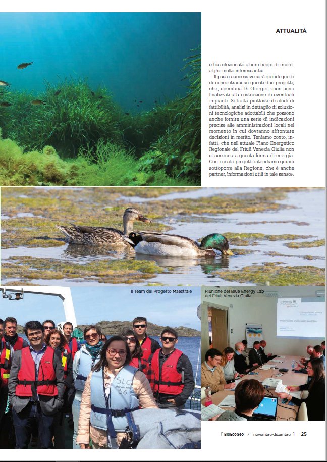maestrale_MED's tweet image. “Energy from the sea”: the article of @BioEcoGeo dedicated to @InformestEU experience on #blueenergy. #pilotprojects: mechanic supply chain and #microalgae. @MEDProgramme  @InnoBlueGrowth