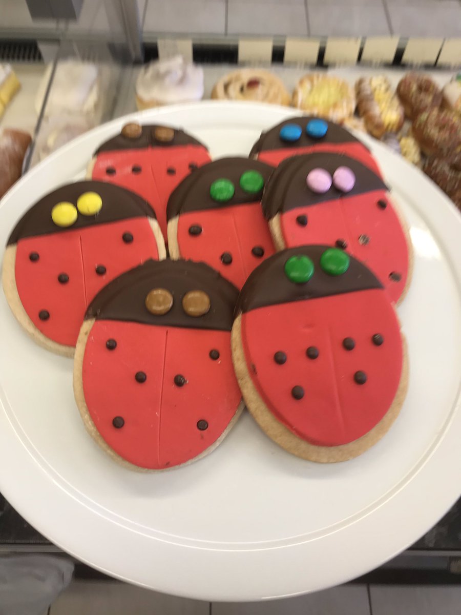 pantry_janes's tweet photo. Who fancies a Shortbread Ladybird Today? #WYDT #GlosBiz https://t.co/JCZv6g5jbl