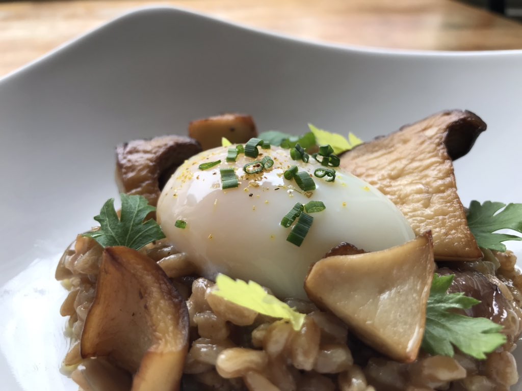 Slow Cooked Farm Egg | Toasted Farro | @northsporemushrooms Shrooms | Charred Onion | Mushroom Cream 
#winter #portland #maine #mushrooms #shrooms #egg #hearty #yum #tasty
