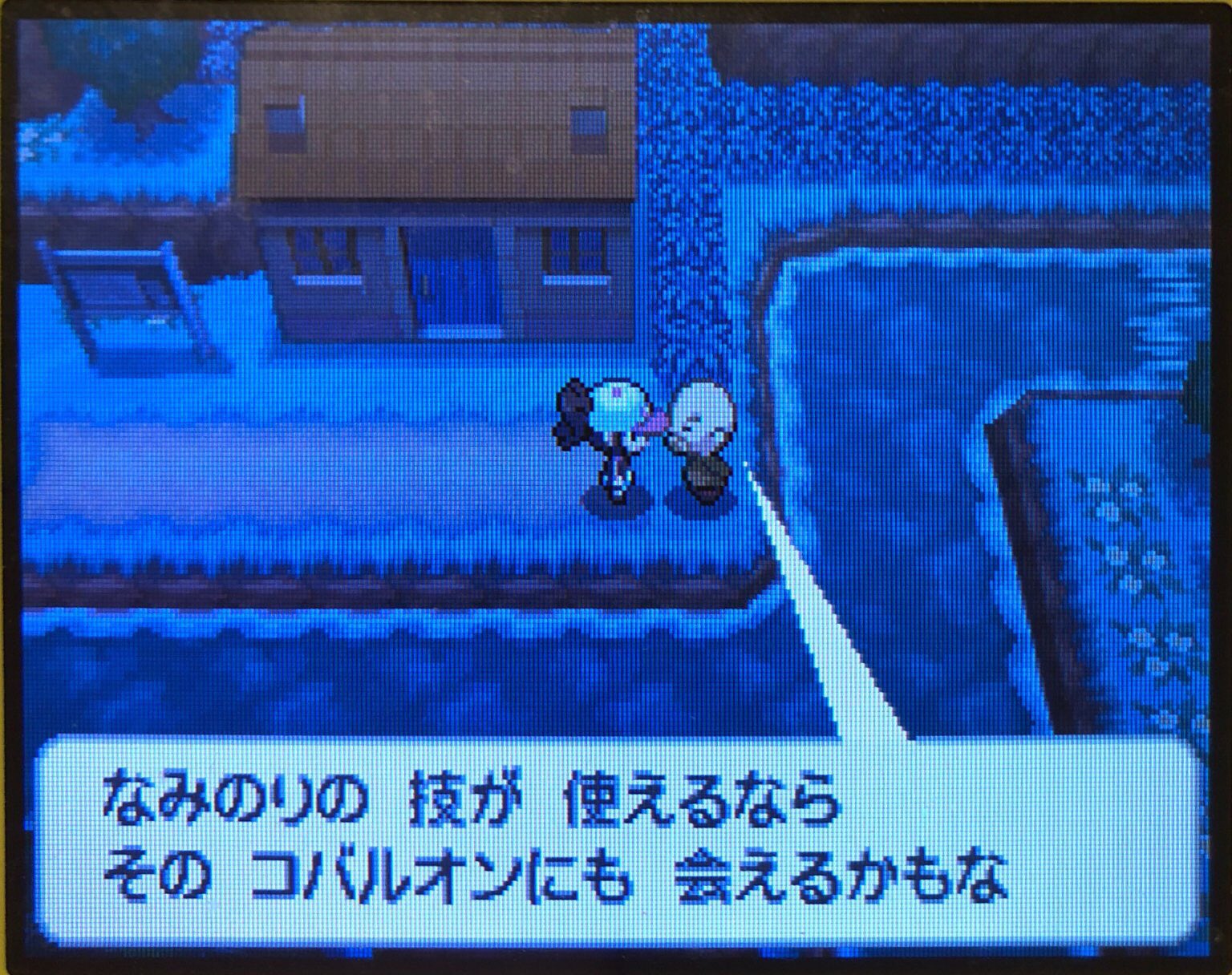 23 電気石の洞穴へ ピクミン マリオ ドラクエ Ff ポケモン日記