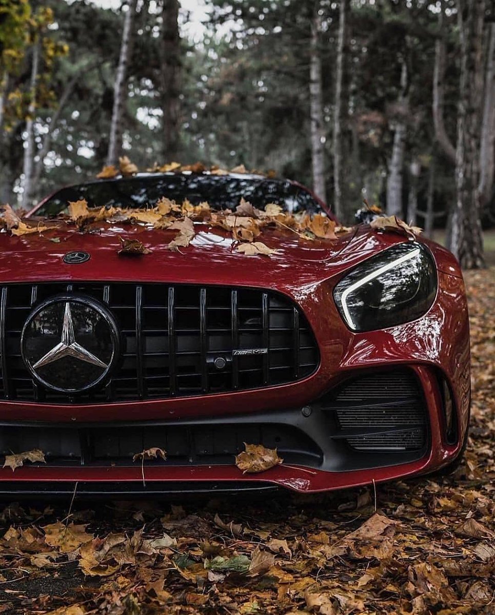 SamAutoSolution's tweet image. Angry &amp;amp; Hungry AMG GTR..Rate it from 1-1000🔥
#carlove #SamAutoSolution #wesellcar #usedcar #Vancouver #VancouverBC #leasecar #lease #insurance #carquotes #winter #carcare