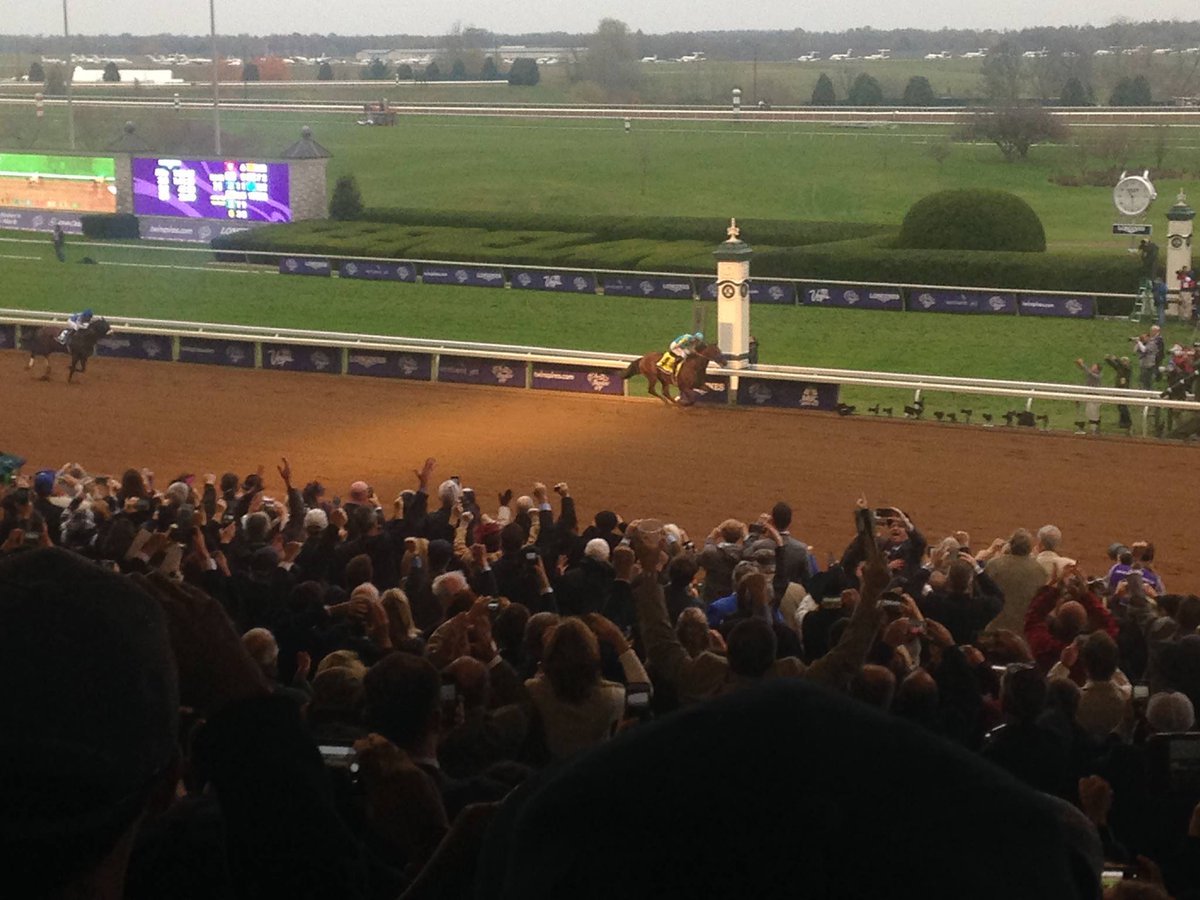 PaintedSFarm's tweet photo. @MyRacehorse @santaanitapark Perhaps I'll see get to see that view for #BC19 !
Most memorable view @keenelandracing for #BreedersCup #BC15
And a shout out to my little hometown track @MarquisDowns with great views along the rail https://t.co/rpF96sn4PM