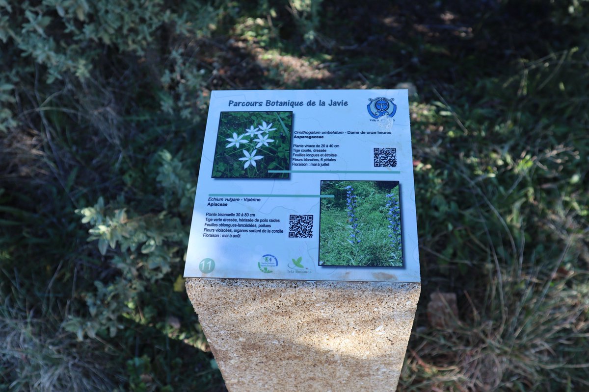 e4asso's tweet image. Petit retour sur le sentier #naturaliste, créé en 2018, de la Javie à #Rognes.
Ce sentier est doublé avec un sentier virtuel accessible sur l'application smart'flore de @TelaBotanica.
#biodiversité #découverte