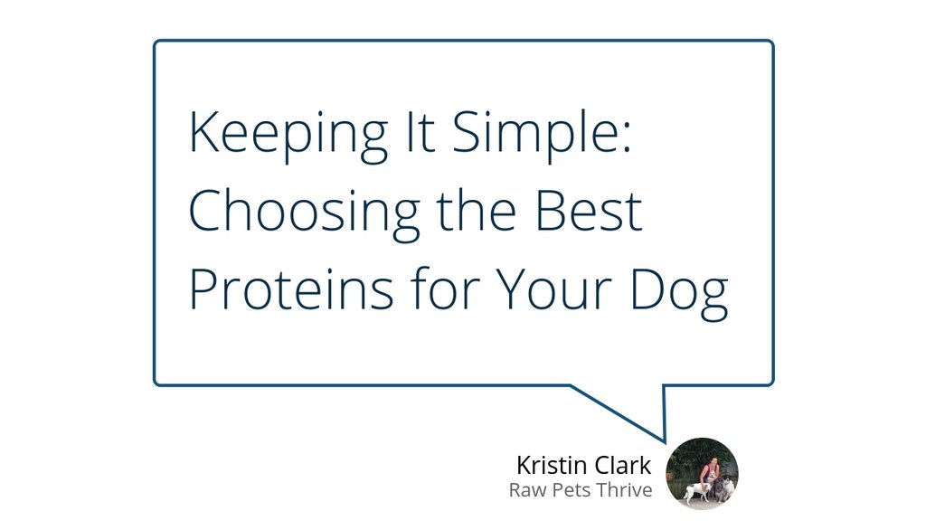 RawPets's tweet photo. "Feeding a variety of red meat, white meat, and the occasional fish (or if not feeding fish, supplementing with quality fish oil) mimics what happens in nature far more closely than feeding a diet of red meat exclusively." https://t.co/uNcnu2Q2KZ #RedMeat #Dogwellness #WhiteMeat https://t.co/fjQnZwphQK
