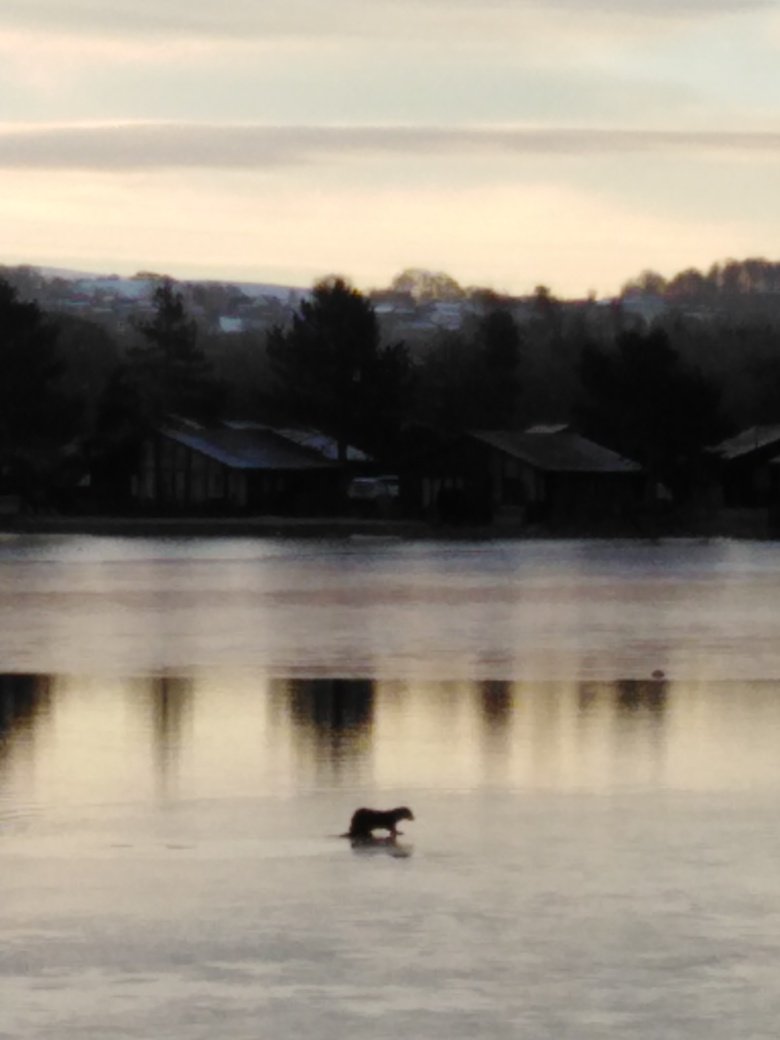 Chris Ainsworth tweet media