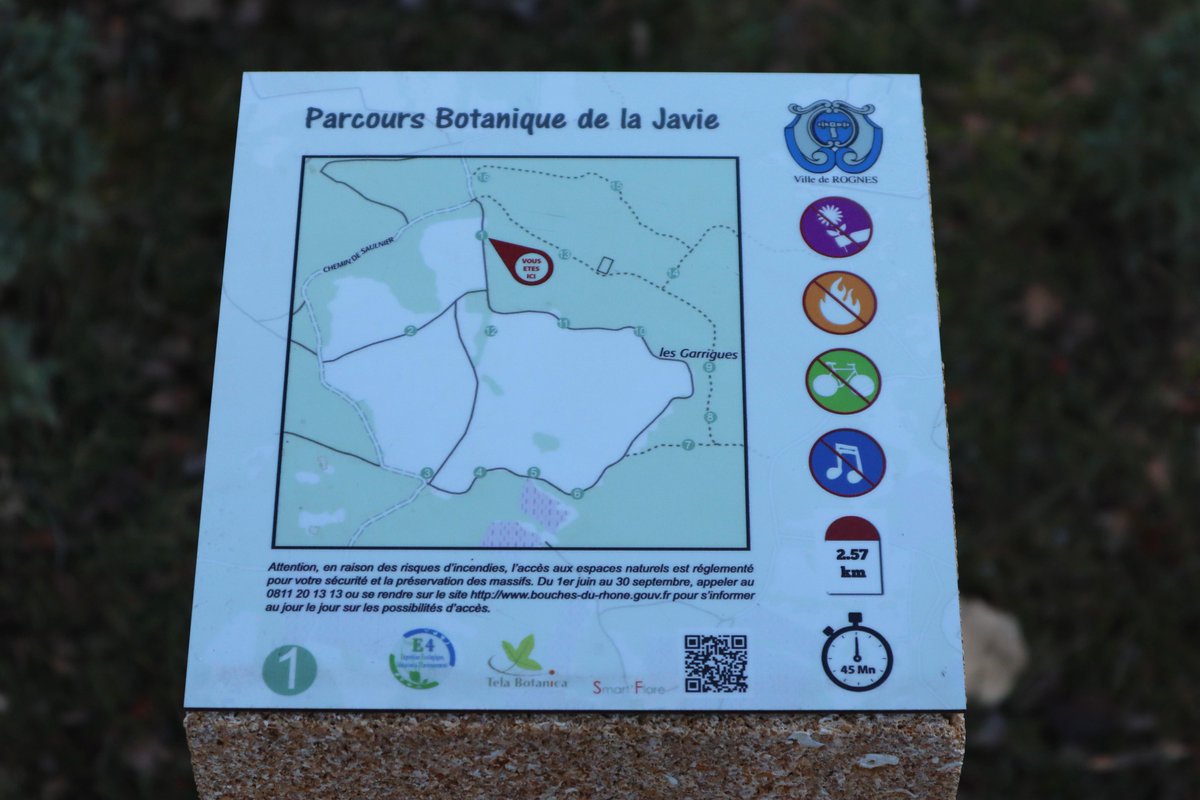 e4asso's tweet image. Petit retour sur le sentier #naturaliste, créé en 2018, de la Javie à #Rognes.
Ce sentier est doublé avec un sentier virtuel accessible sur l'application smart'flore de @TelaBotanica.
#biodiversité #découverte