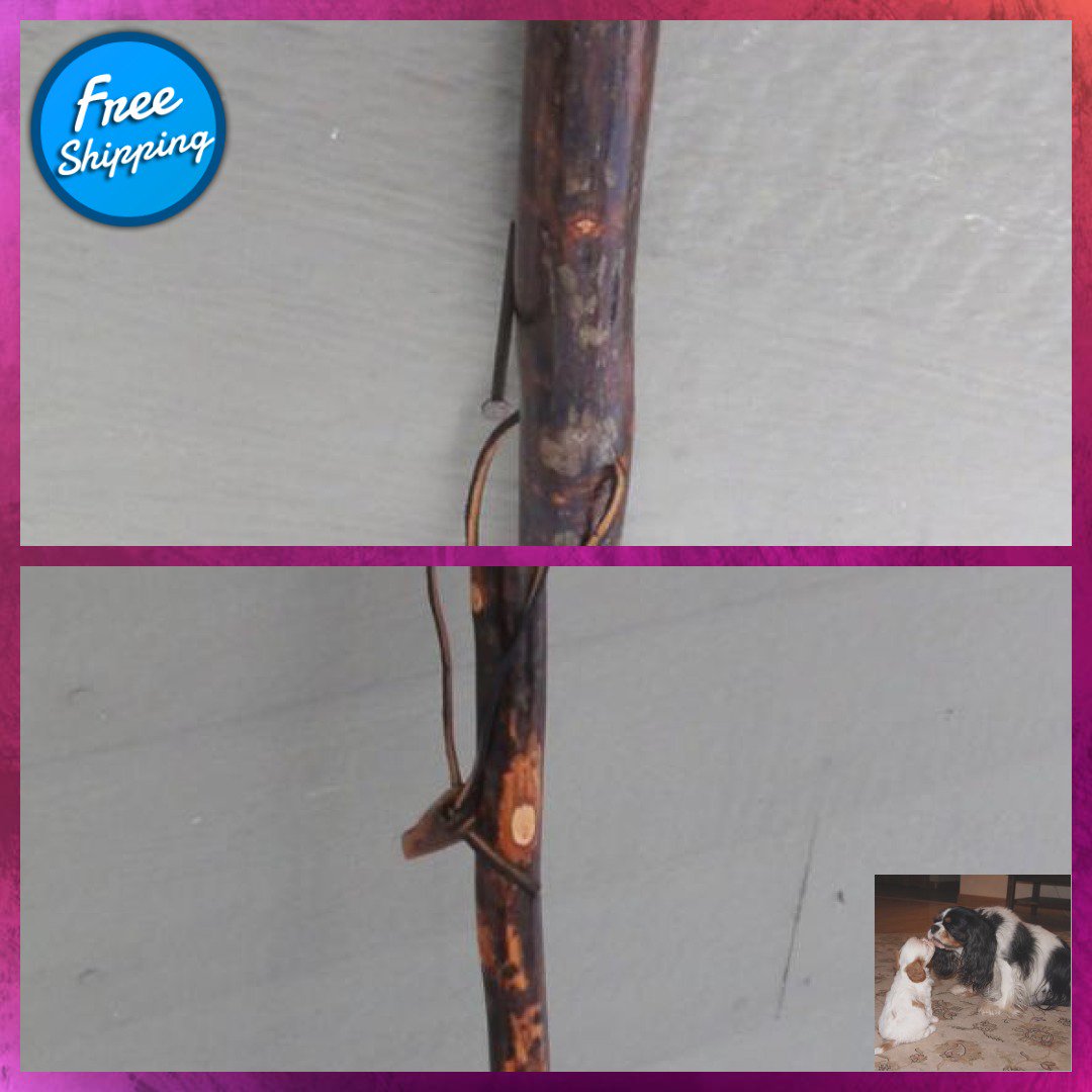 gfischer4's tweet photo. 54&amp;quot; Hickory Hiking Stick great for Hiking trails or just a good walk in the woods #WalkingStick #HikingStick 
Buy here https://t.co/5FzAhDWJCY https://t.co/cAHwqKOszC