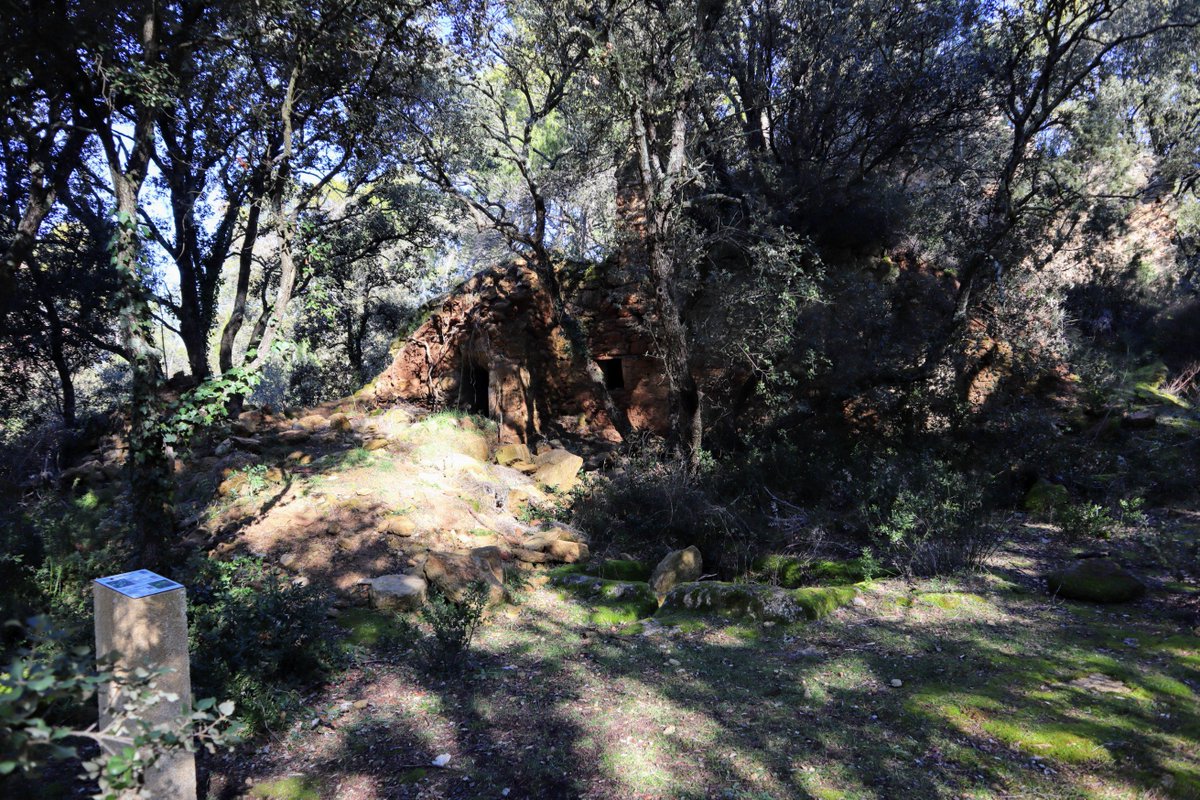 e4asso's tweet image. Petit retour sur le sentier #naturaliste, créé en 2018, de la Javie à #Rognes.
Ce sentier est doublé avec un sentier virtuel accessible sur l'application smart'flore de @TelaBotanica.
#biodiversité #découverte