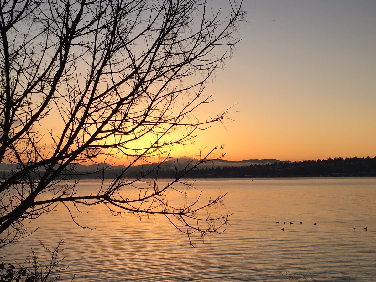 AdventureCkr's tweet photo. What a Gorgeous morning! Wake Up Seattle! Bundle up! #WaWx #WaCold #KOMONews https://t.co/e0JUCqbLVo