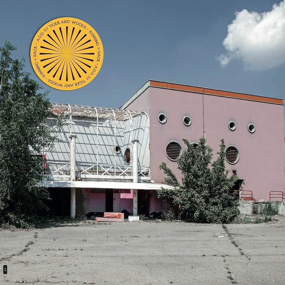 Tiger & Woods tweet media