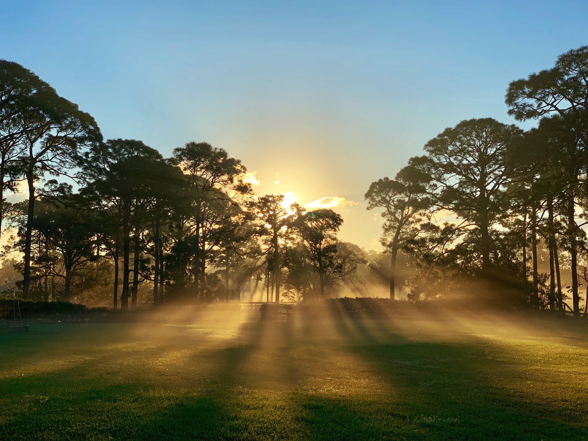 TheInspiredBee's tweet photo. Certain things catch your eye, but pursue only those that capture the heart ❤️ Ancient Indian Proverb #inspiration #proverb #shotoniphone #photography #travelgirl #travelgoals #passionpassport #beautifuldestinations #wonderful_places #nature #mybackyard #home #officeview https://t.co/v4JzHkyv1i