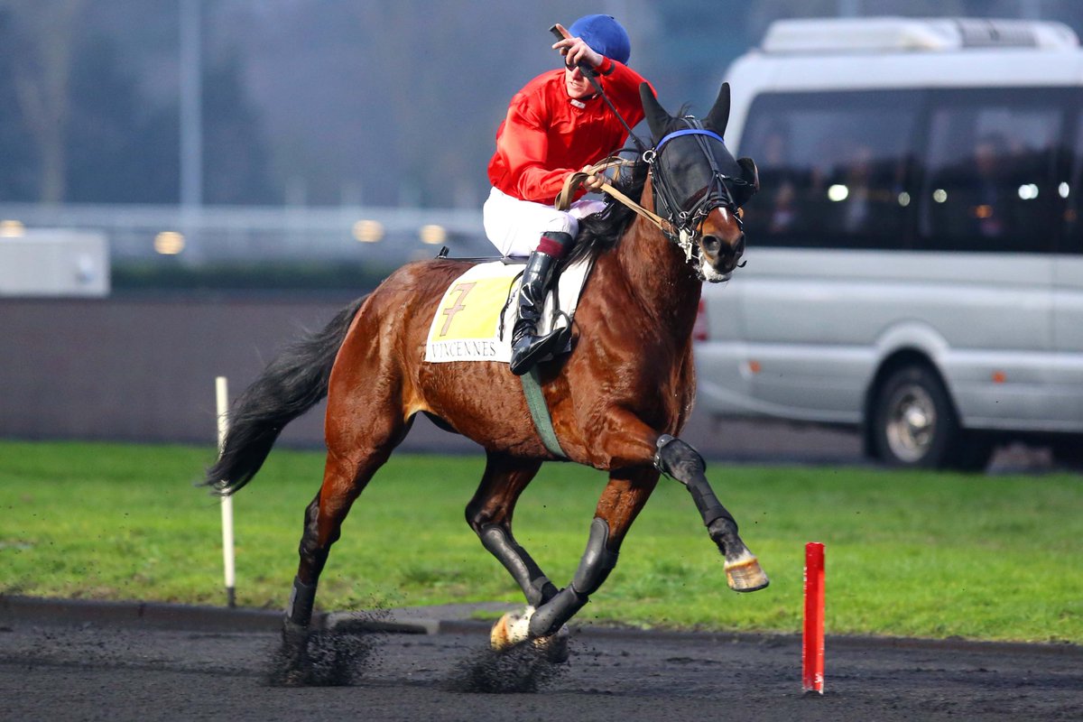 Fado du Chêne présent dans le Prix des Centaures ⚡️

Le pensionnaire de Julien Le Mer tentera de remporter son quatrième groupe 1 ! Aux 25 mètres, Daelia de Vandel et Evangelina Blue sont déjà engagés. 🔥