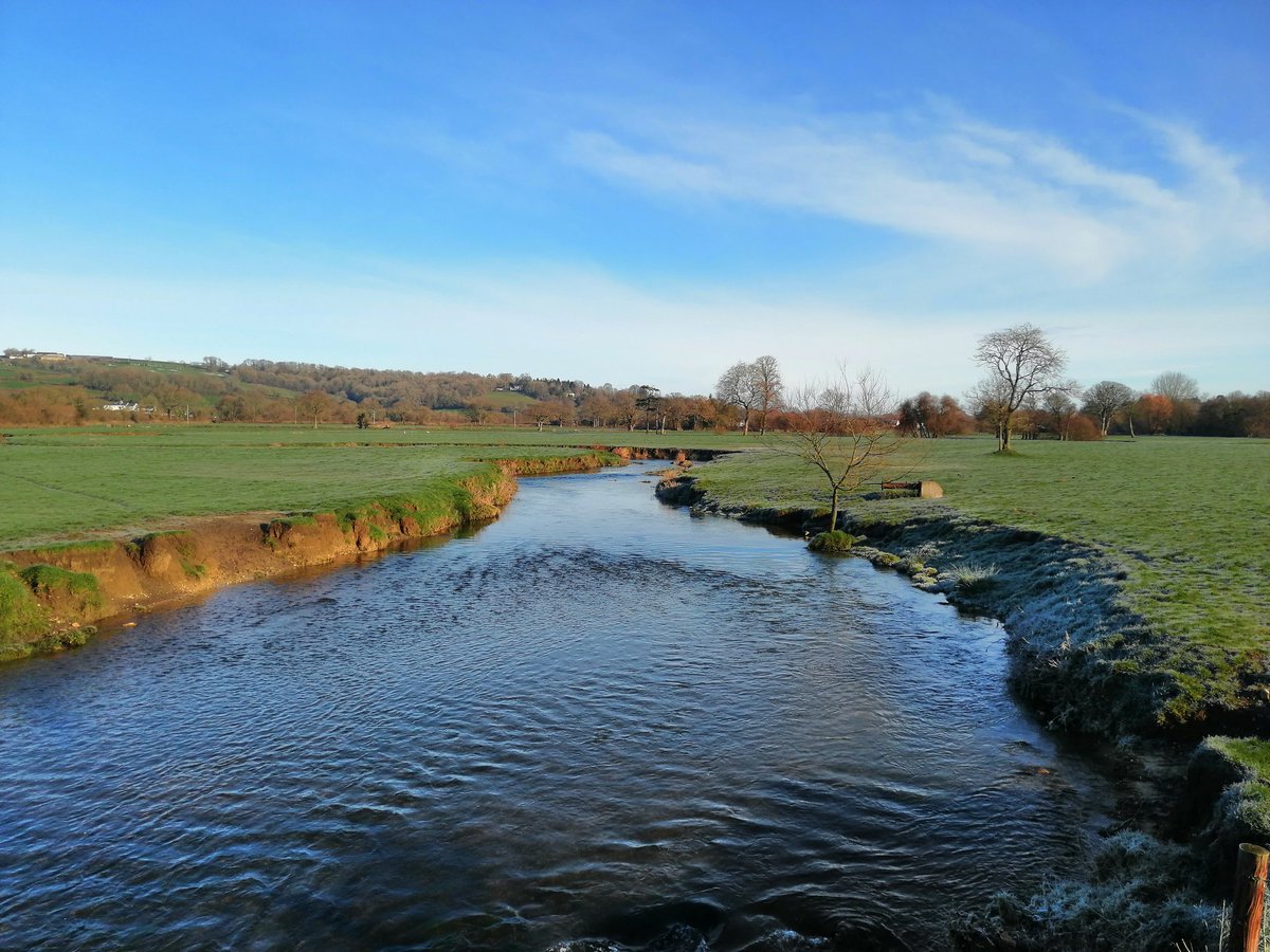 Stewart Court tweet media