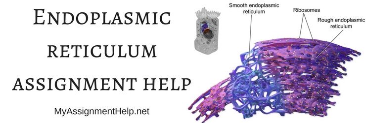 ozpaperhelp1's tweet image. Cytoplasmic curriculum is an organelle present in Eukaryota cells. It is a network of tubal, vesicles and cistern which helps in the modeling and export of proteins in other organelles.
bit.ly/2t68VoJ
#assignmenthelpforstudents #assignmenthelpexpertsuk