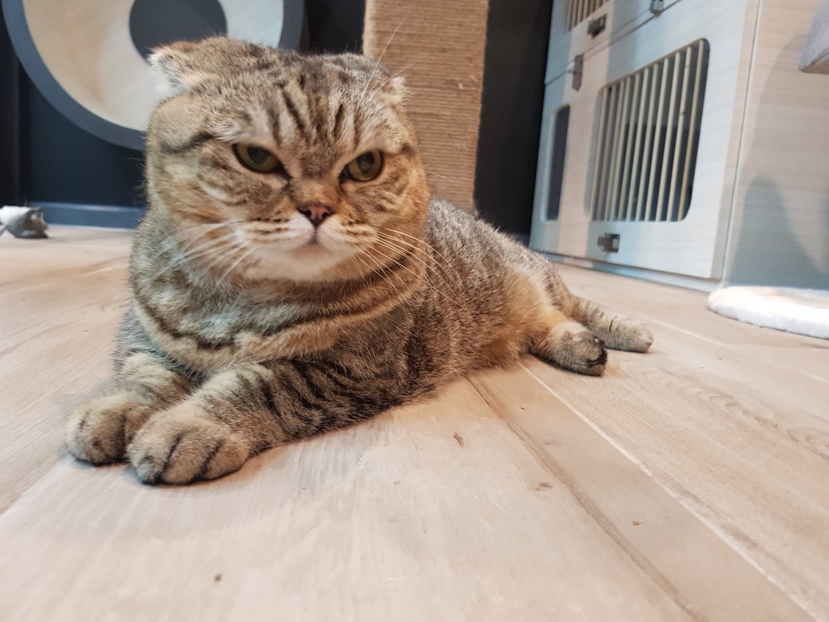 Bonusiie's tweet photo. มันจะโมโหอะไรขนาดนั้นอะ https://t.co/UxozHmg7KL
