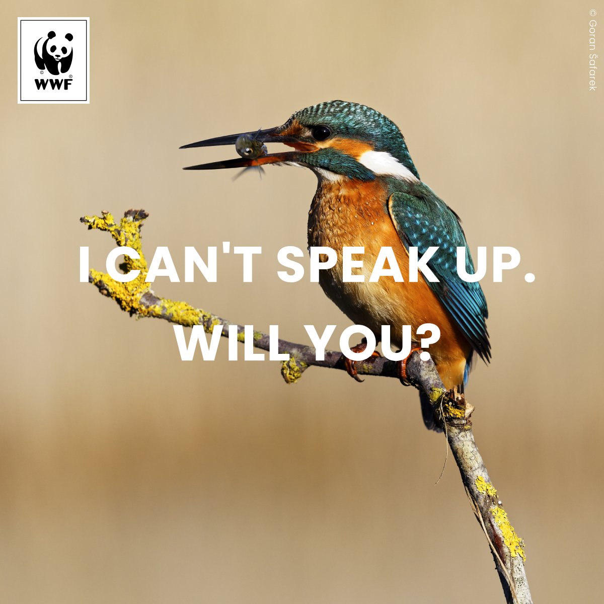 WWFEU's tweet image. .@pavelpoc: More than 270,000 people have spoken up to keep the EU water law strong! Don&apos;t look the other way. Say NO to destroying the #WaterFrameworkDirective and YES to #ProtectWater wwf.eu/campaigns/prot…