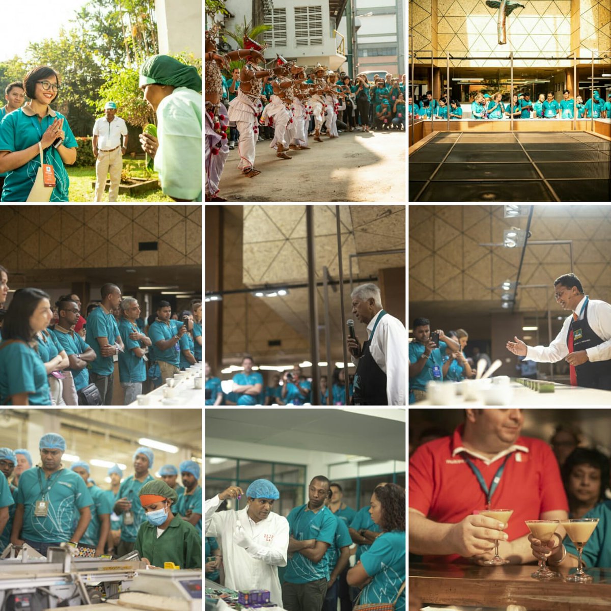Dilmah's tweet photo. #DilmahSOT participants were welcomed in #SriLankan fashion by the #DilmahFamily in #Colombo. Participants were introduced to #teagrading & #tasting as well as our factory and Quality Assurance! They were treated to a quick Rose with French Vanilla Mocktail for refreshment too. https://t.co/MUFkcsvtcX
