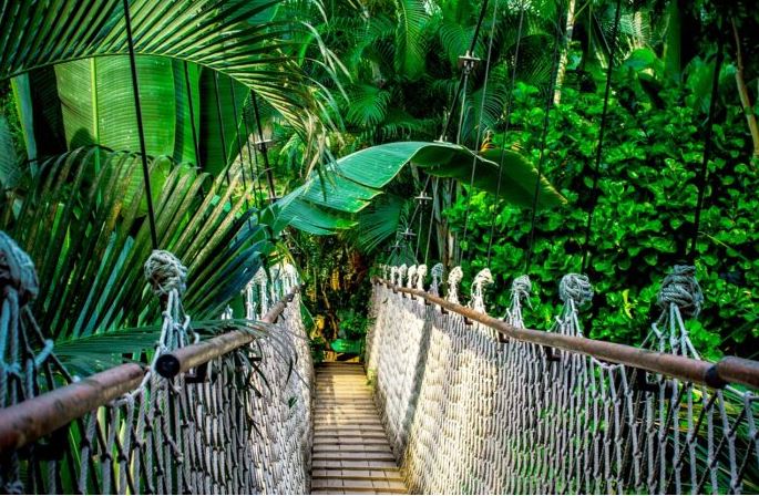 The Amazonian forest price tag: trade benefits vs environment and human rights in #Brazil. Latest op-ed by Veronika Tisold.

#international #humanrights #Politics #Bolsonaro 

politheor.net/the-amazonian-…