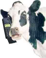 DerryDiaspora's tweet photo. “Hello, I’ll be passing though Muff in 20 minutes, let me through.” #fujitsu #borderapp #brexit @AmandaFBelfast @JP_Biz https://t.co/bKhcwfi3Mi