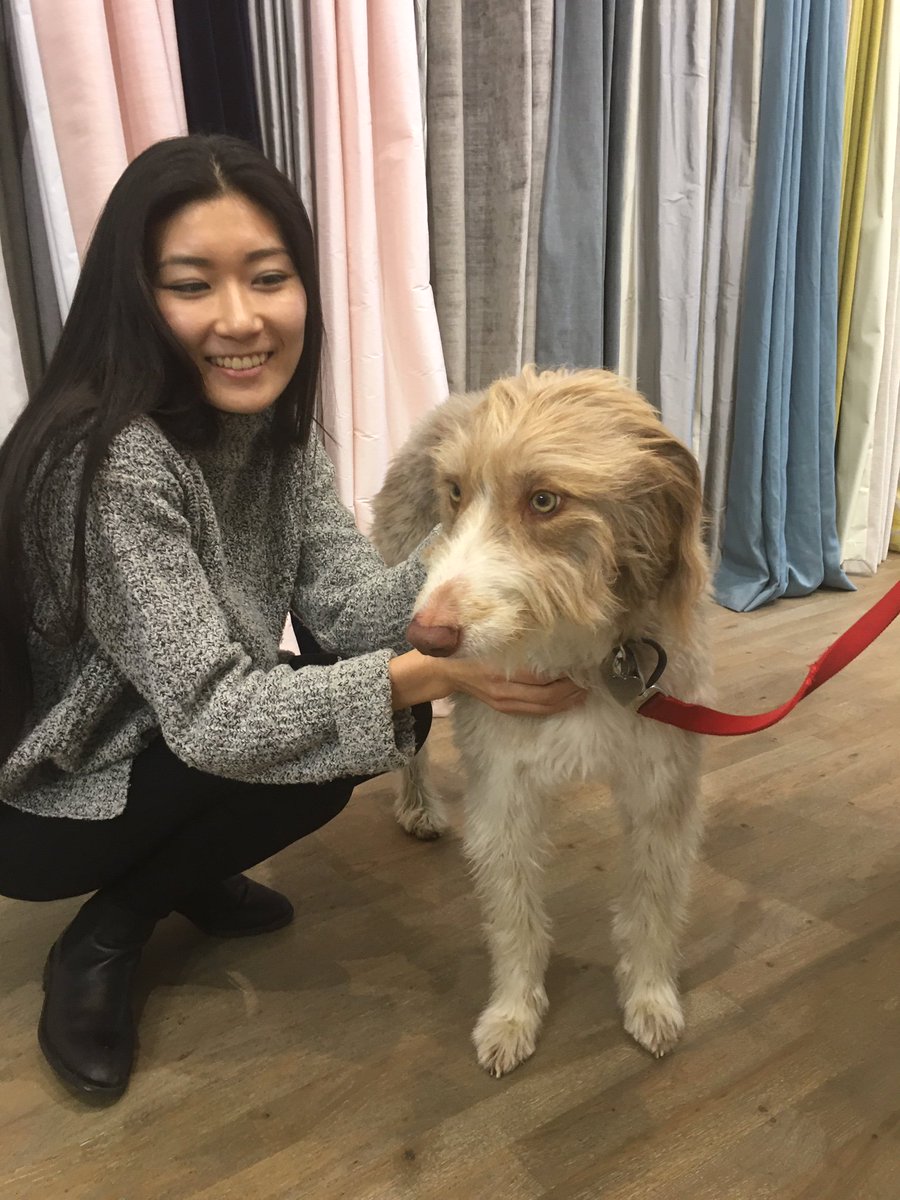 Here's Miki in our Wimbledon showroom saying goodbye to Lunar, who regularly pops round just to say hello!