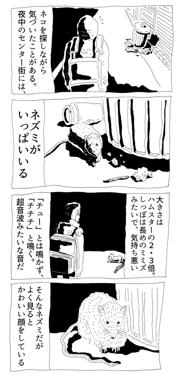 XX/XX/01:45
#終電渋谷黒猫を探せ 
