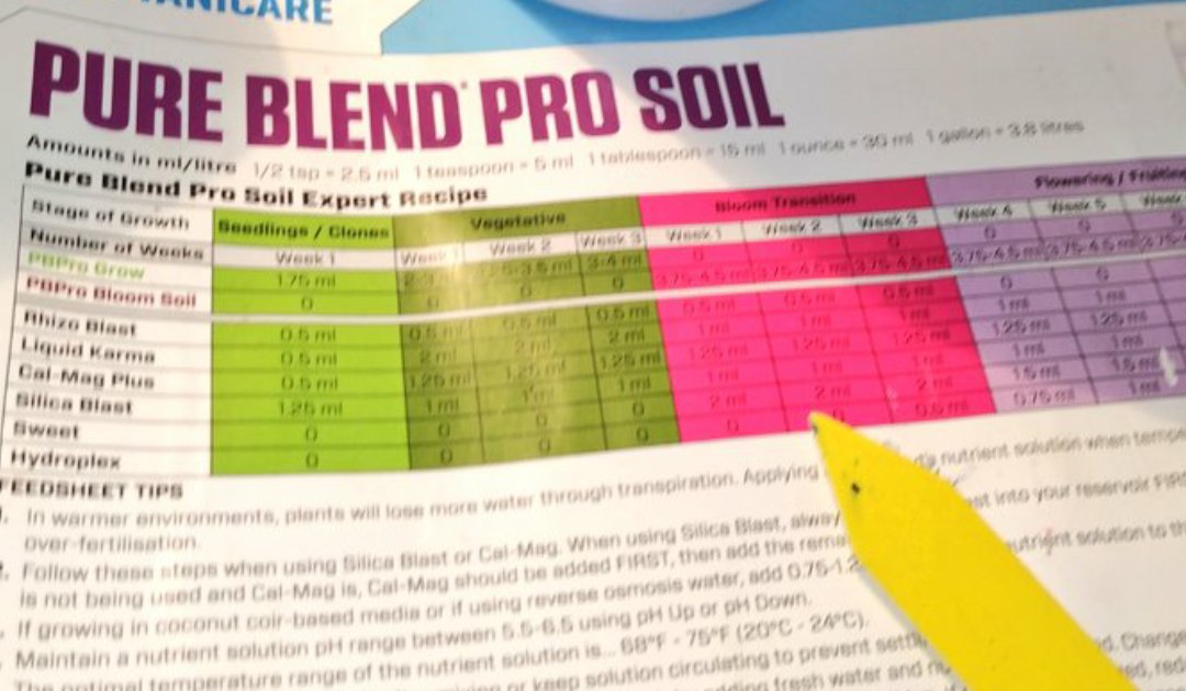 Green Test tweet media