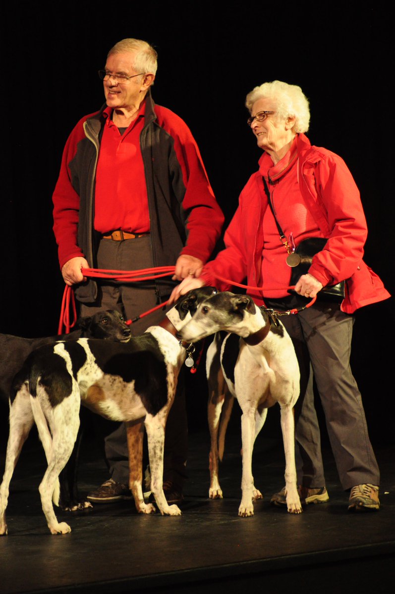 ellesmerecreate's tweet photo. Highlight of Cre8 arts evening last night were some doggie visitors from Hector's Greyhound Rescue, who received funds raised from donations and the raffle @ellesmerecoll @ArtsAward @Artsmarkaward @ArtsConnectWM https://t.co/KtbN4vHXrx