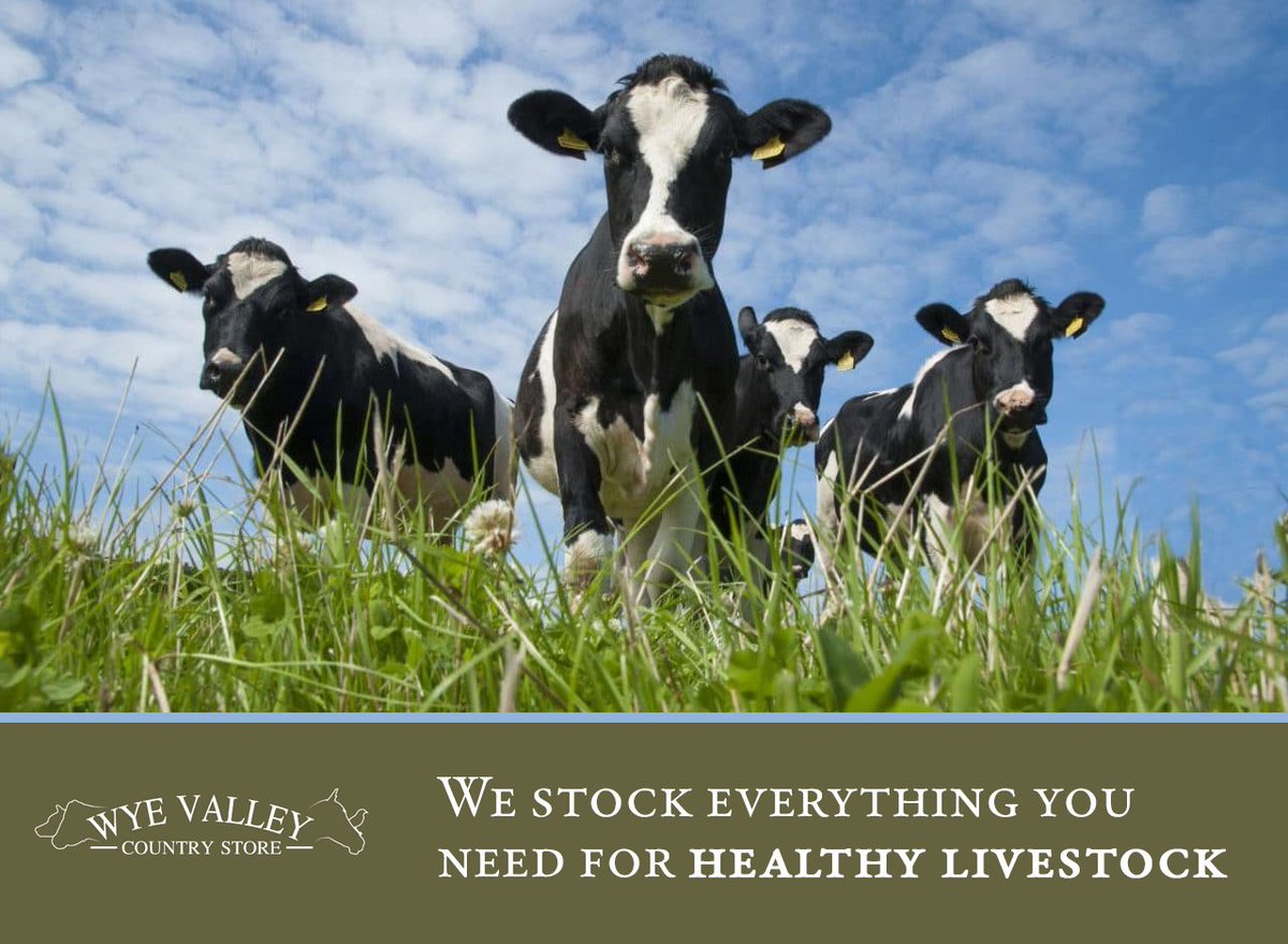 Do you have #livestock? 🐄 

Then VISIT <a href="/WyeValleyCS/">Wye Valley Country Store</a> for TOP QUALITY footbath products and advice for which products will suit you best.

To SHOP...
📱 - 01600 715448
📍 - Wonastow Rd Industrial Estate West, Unit 2, #Monmouth