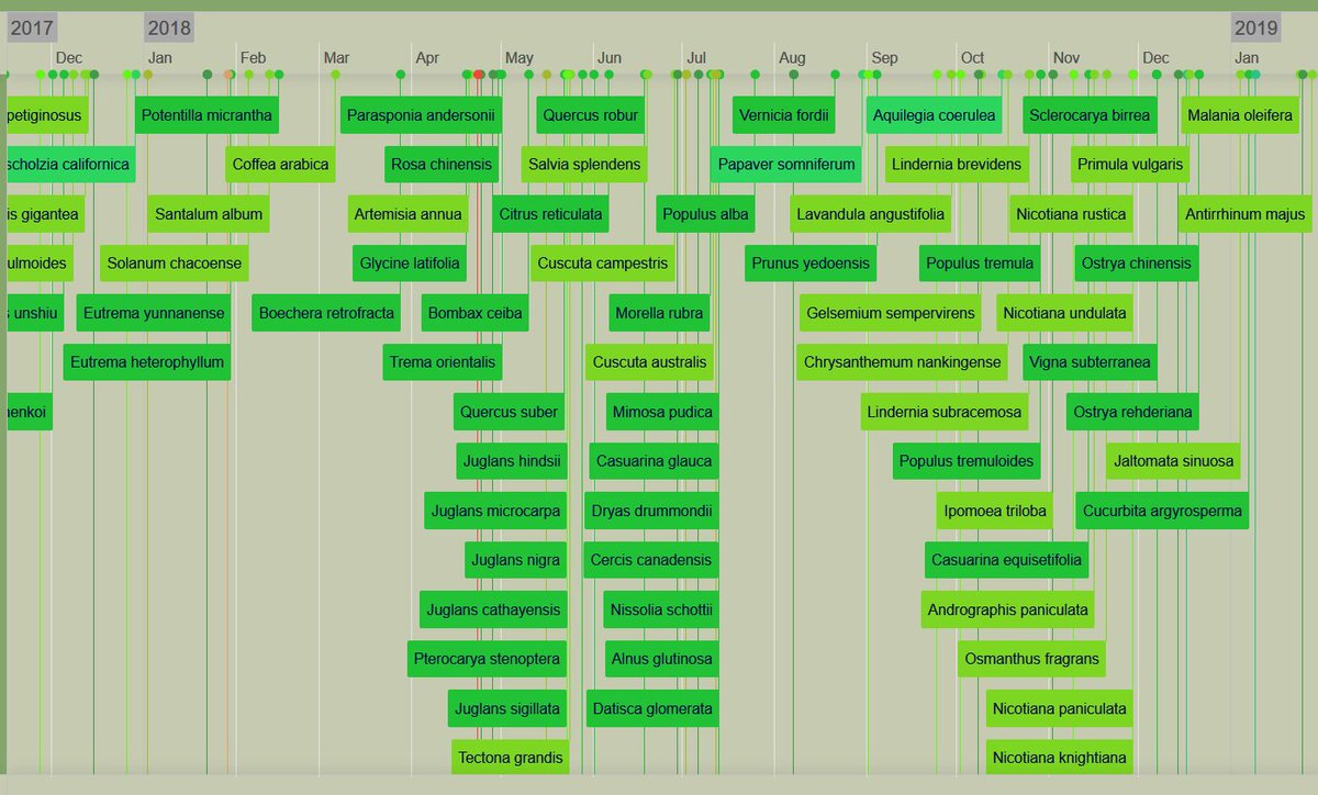 usadellab's tweet image. Our @denbiOffice Mercator is out: Fast plant functional annotation and classification and quick online pathway analysis using @MPIMP_Potsdam #MapMan for all plant genomes. We move things over to github &amp;amp;can now sync to ensembl-plants and @plaza_genomics.  doi.org/10.1016/j.molp…