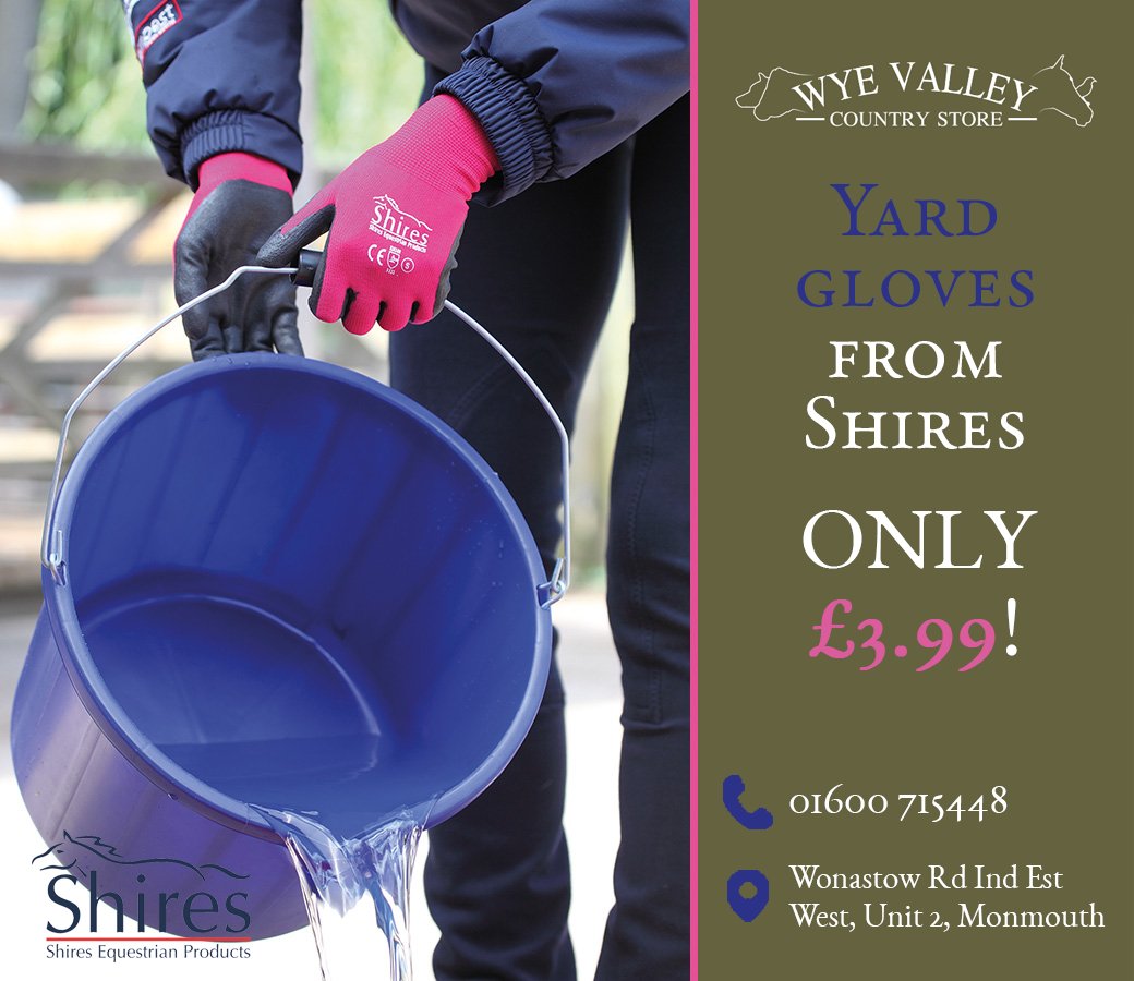 SHOP everything you need for the yard at <a href="/WyeValleyCS/">Wye Valley Country Store</a>, including these versatile yard gloves from <a href="/Shires1/">Shires Equestrian</a>, which are JUST £3.99!

📱 - 01600 715448
📍 - Wonastow Rd Industrial Estate West, Unit 2, #Monmouth