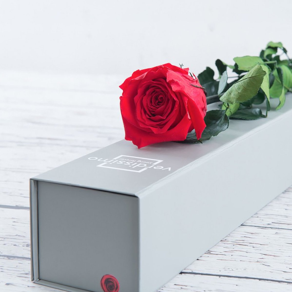 AppleyardLondon's tweet photo. For Day 3 of our competition, win this romantic gift of a Forever Rose and a gorgeous Kurt Geiger Mini Leather Kensington Bag, worth £129.

To enter, simply follow us and RT!

More ways to enter: https://t.co/X9f7KfCOpB https://t.co/zTHl8aG91P