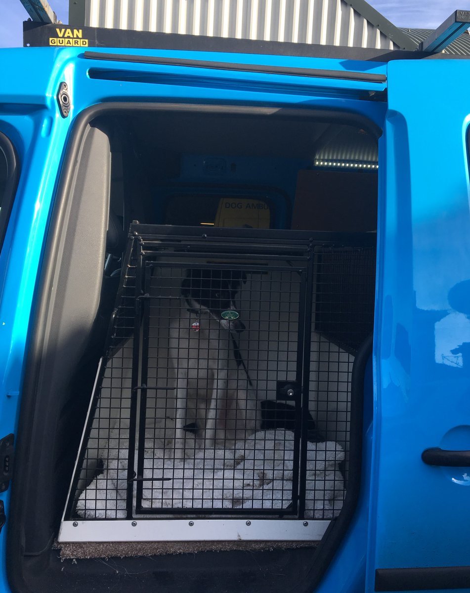 lintranK9Ltd's tweet image. Did you know we can loan you a box whilst we make your custom box...??...#dogbox #whiteboxes #safe @lintran #dogsoftwitter