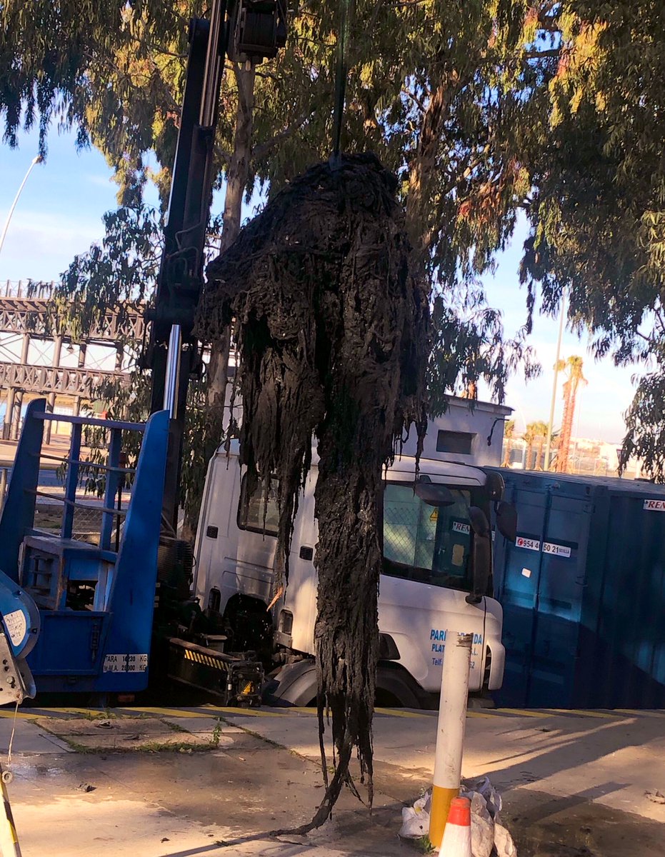 AguasDeHuelva's tweet photo. ¡Ummmm! Se acerca la hora de comer 🍽 . Pero esto que ves, aunque está fresco, no es un choquito 🦑 en su tinta.
Es una nueva mole de toallitas cazado 🔱 hace 1 hora en nuestra estación de bombeo Fco. Montenegro. 
Lo SIGUES TIRANDO!! 
Deja de tirar toallitas al WC 🚽 #nolotires https://t.co/9jYgdWZfAv
