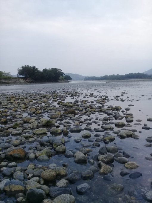 Ver imagen en Twitter