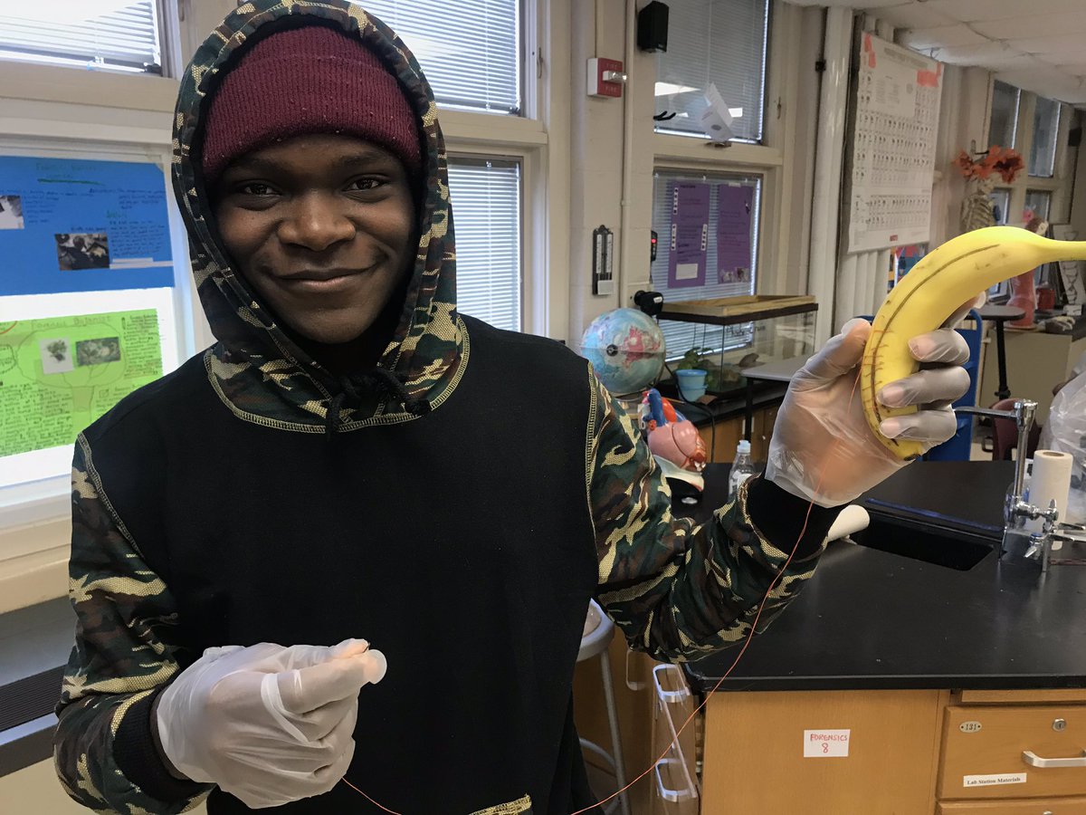 IanatLinworth's tweet photo. Suturing bananas in #BiomedicalScience this week! #dontletthembleedout https://t.co/PTEym0phI0
