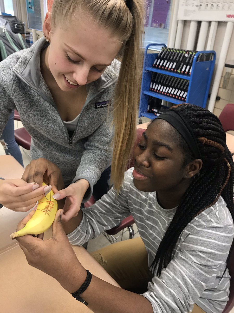 IanatLinworth's tweet photo. Suturing bananas in #BiomedicalScience this week! #dontletthembleedout https://t.co/PTEym0phI0