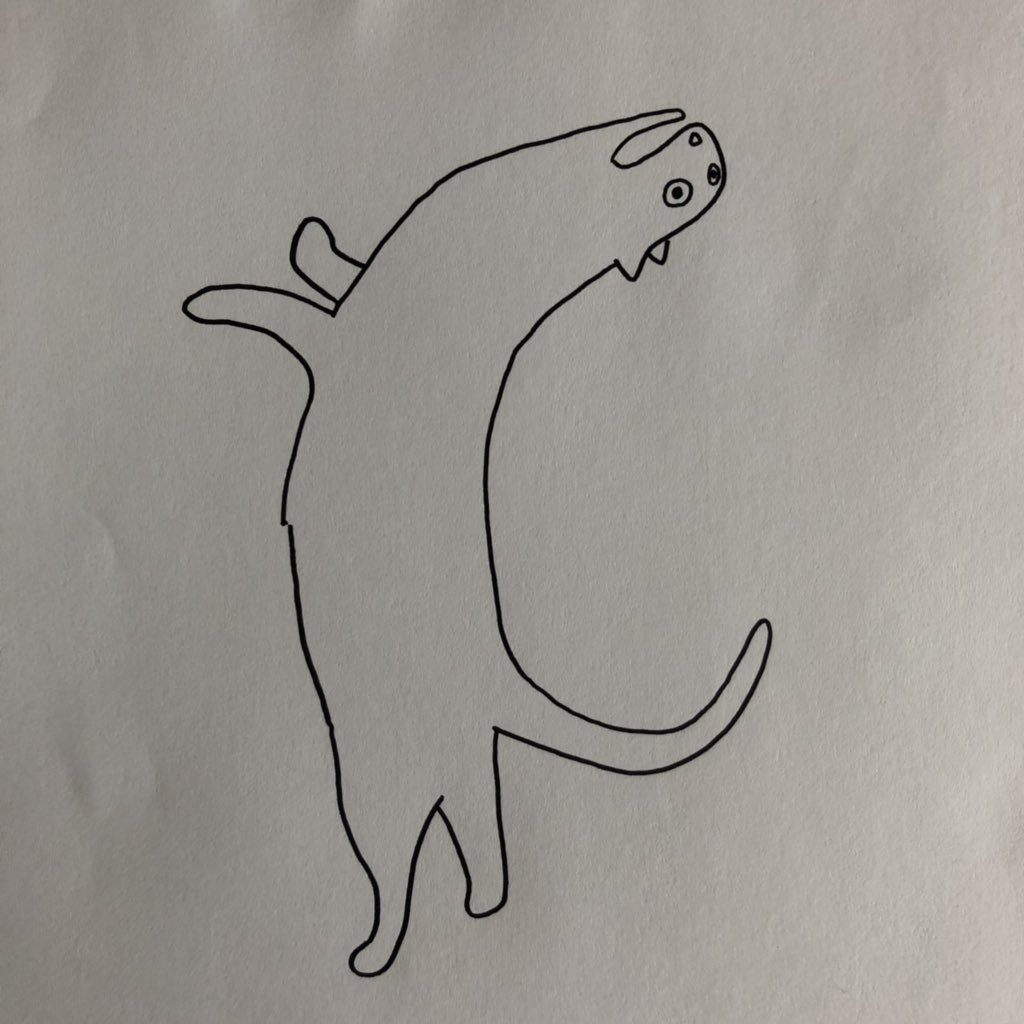 poorly drawn cats (@poorlycatdraw) on Twitter photo 