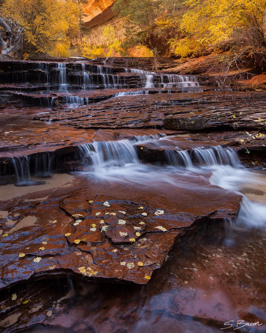 Arch Angel Falls - an iconic location in Zion National Park, Utah. This beautiful waterfall, accentuated by golden fall colors, is a very special place. #utah #zion #zionnationalpark #archangelfalls #waterfallwednesday