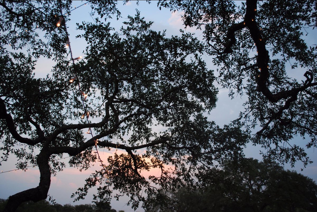 Who is in need of a glass for wine and beautiful sunset?
