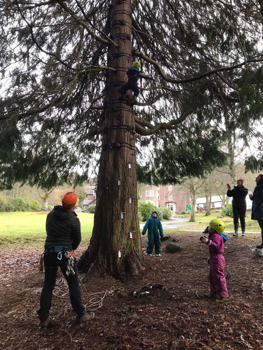 LittleArdvreck's tweet photo. No challenge is too great for our Little Ardvreck pupils. #Ardvreckclimbingtree https://t.co/Nvwmp9Ctkn