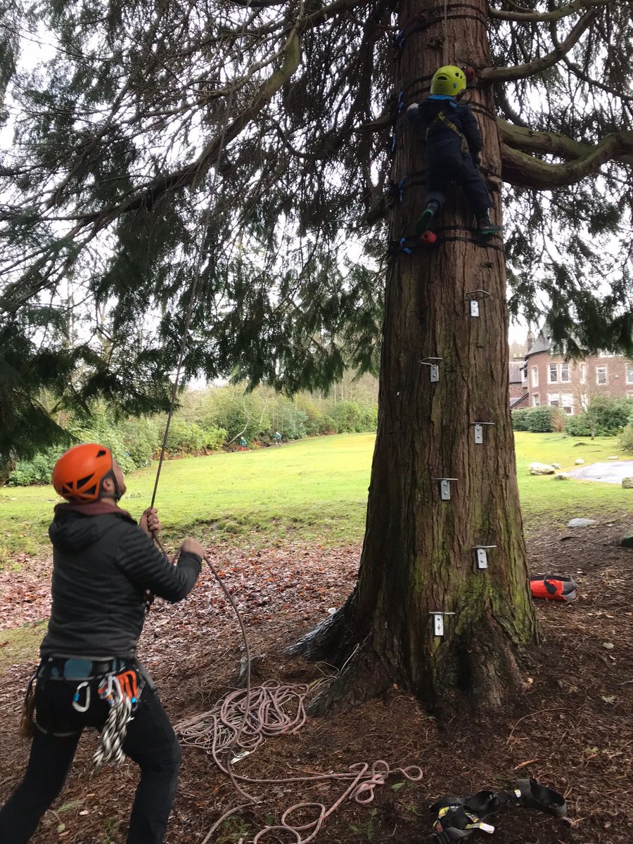 LittleArdvreck's tweet photo. No challenge is too great for our Little Ardvreck pupils. #Ardvreckclimbingtree https://t.co/Nvwmp9Ctkn