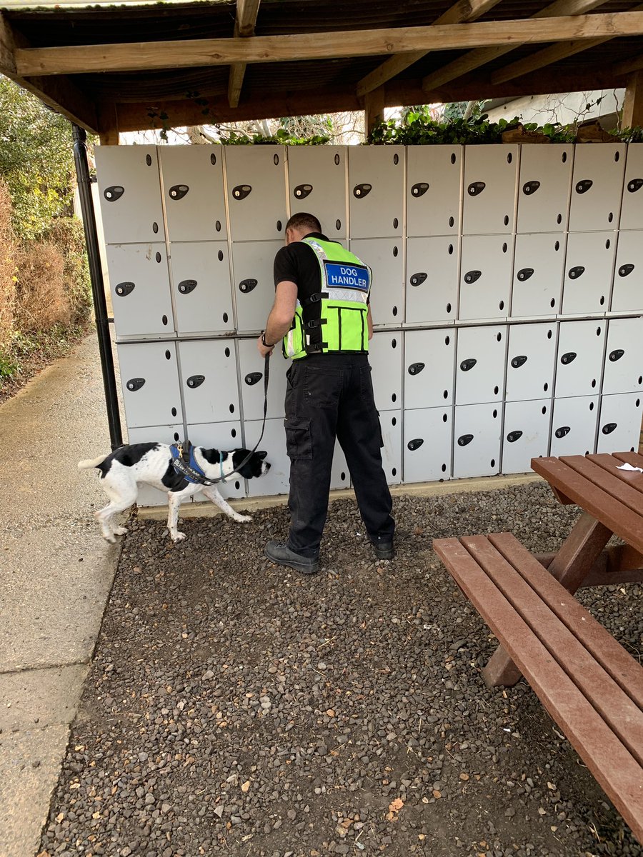 auroratrg's tweet photo. Another tasking at an education establishment,  this time in Cambridge.  An interesting find today. @cambspolice @auroratrg @Sdetectordogs https://t.co/dHUli1WN2H
