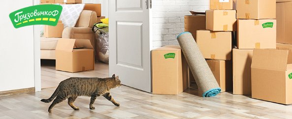 Эльбор tweet media