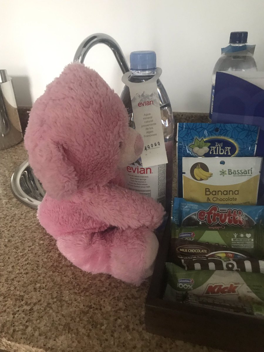 TeddyConsulting's tweet photo. Last day in Colombia. Pink teddy has been order to put down the $10,000 Bottle of @evianwater https://t.co/f3qggq2MRD