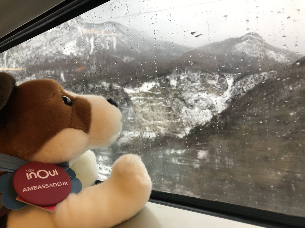 TGVINOUI's tweet photo. Pendant le trajet, entre lecture, jeux et bon repas, une pause s’impose ! Bobby reste bouche bée devant les paysages enneigés ! 🚄❄️🇮🇹🇫🇷 #BobbyEnEurope #TGVINOUI #FranceItalie https://t.co/RHZhUhkrgS