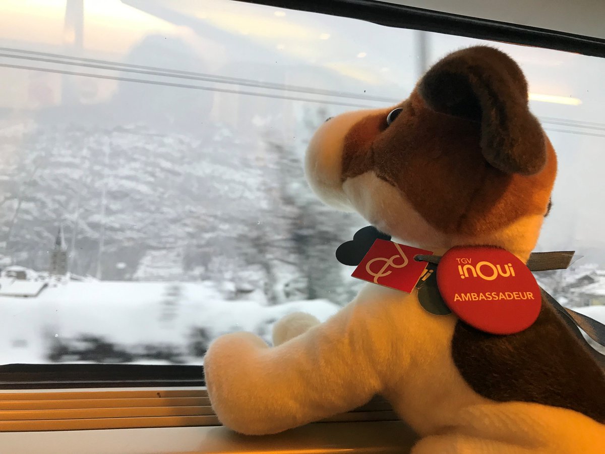 TGVINOUI's tweet photo. Pendant le trajet, entre lecture, jeux et bon repas, une pause s’impose ! Bobby reste bouche bée devant les paysages enneigés ! 🚄❄️🇮🇹🇫🇷 #BobbyEnEurope #TGVINOUI #FranceItalie https://t.co/RHZhUhkrgS